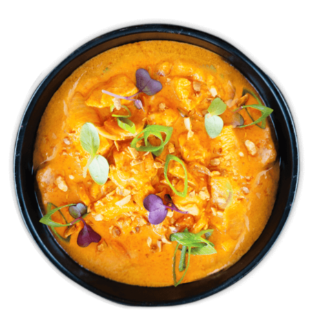 Köstliche Thai Currys Von Onshii - Premiumn Asia Food